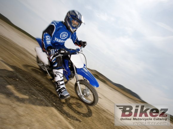 2011 Yamaha TT-R110E photo